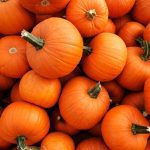 Edible Fitness: Giving Old Pumpkins Purpose | X3 Sports