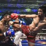 personal muay thai trainer