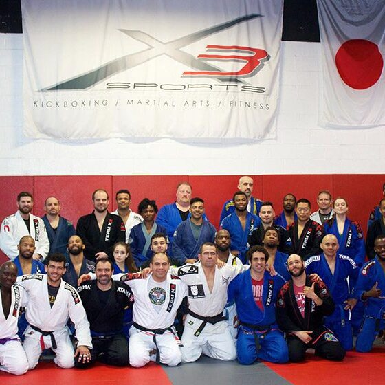 BJJ Class Groupshot (click to enlarge image)